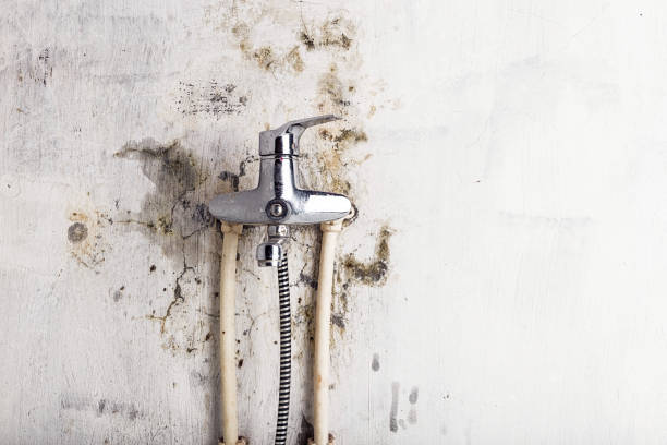 Best Water Damage Restoration  in Decordova, TX