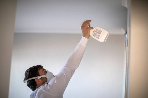 Best Best Mold Removal Companies  in Decordova, TX