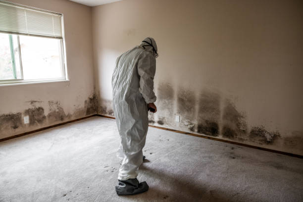 Water Damage Restoration in Decordova, TX